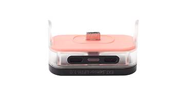 WiTTRA Umweltsensor LPTH (Short body version)